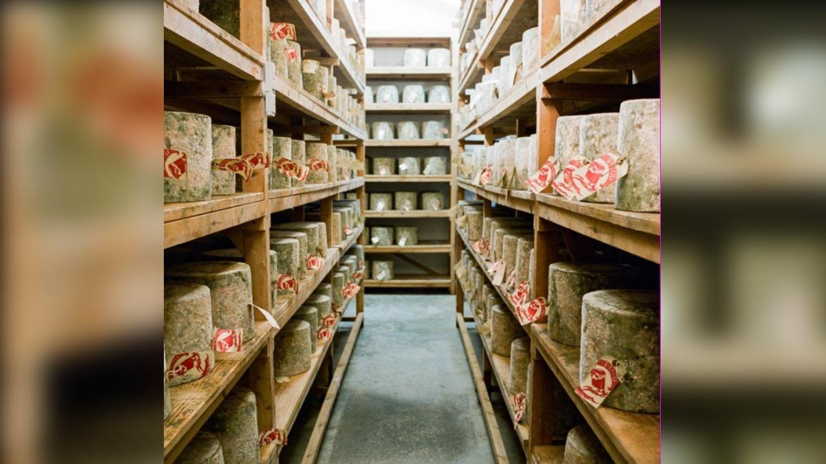 倫敦賊不偷錢卻拿走22噸切達起司 製造商傻眼損失破千萬