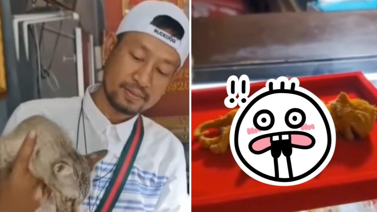 小貓一出生就夭折!飼主一看竟有8腿4耳 驚:吉祥的象徵