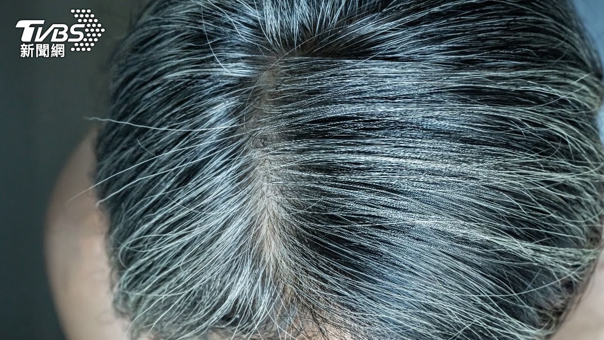 地表最強白髮救星!10款「何首烏洗髮精」推薦 這瓶邊洗邊染黑