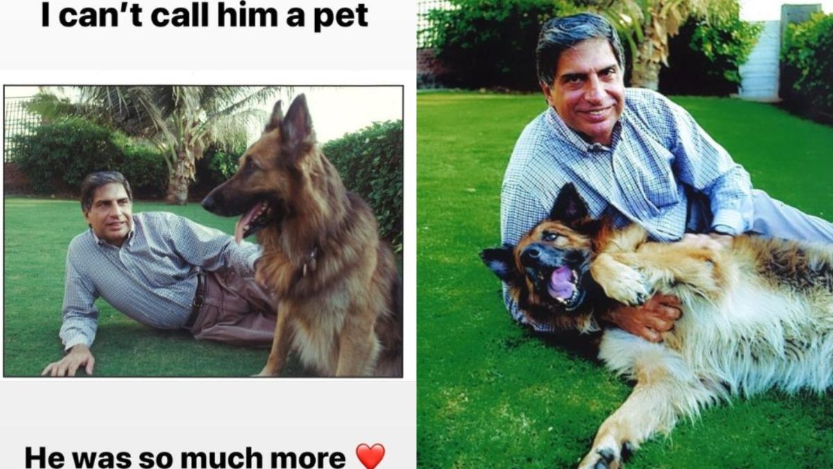 31億遺產留給愛犬!86歲印度大亨病逝 管家、廚師也領錢