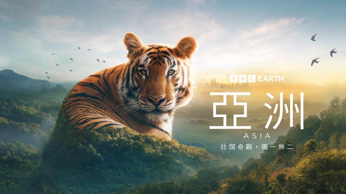 BBC Earth推出年度生態紀錄片《亞洲》。(圖/BBC Earth提供)