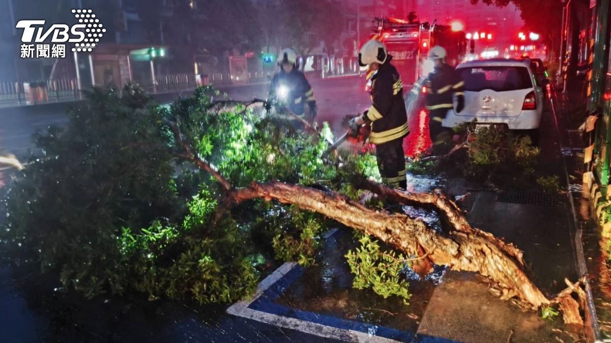 康芮颱風暴雨北市釀災 3米路樹倒塌害2騎士摔車受傷