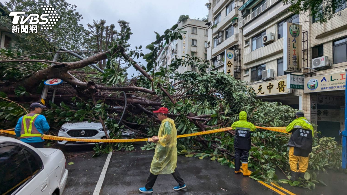 路樹扛不住康芮!新北永和大樹倒塌 2車慘遭壓頂慘況曝