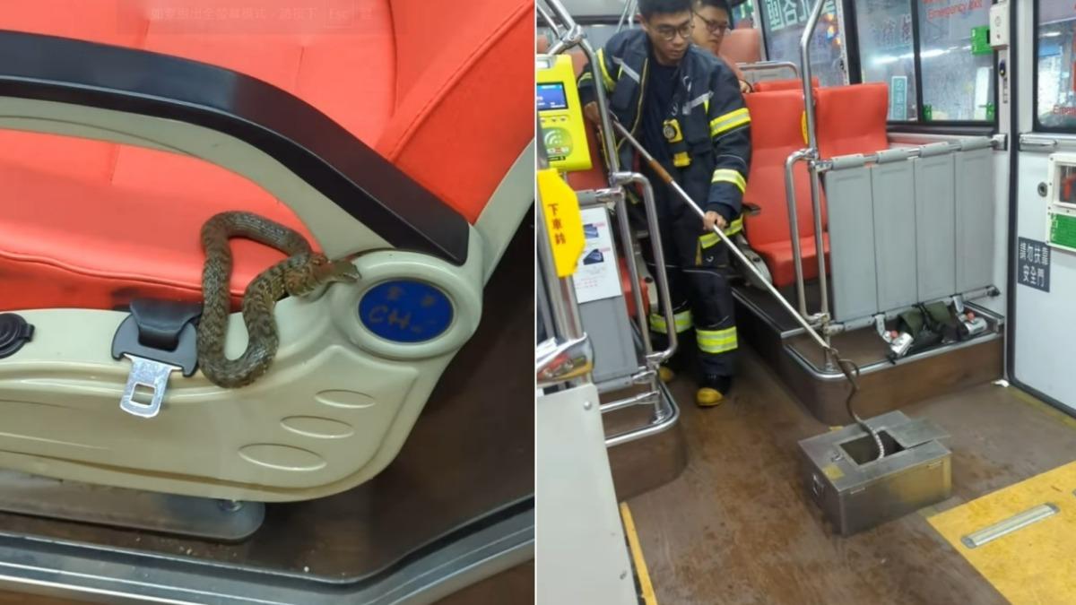嚇瘋！新北女颱風天搭公車上班　赫見「臭青母」爬過腳邊