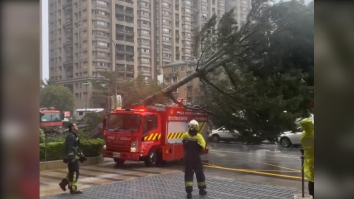 快訊/救災人員辛苦了!警消搶救受困民眾 消防車遭「路樹」砸中