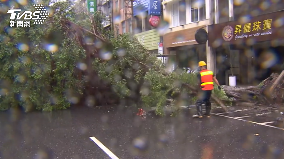 路樹倒塌壓在高壓電纜上冒出火花。(圖/TVBS資料畫面)