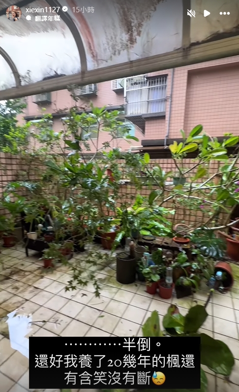 謝忻家的陽台一片狼藉。(圖/翻攝自謝忻 IG)
