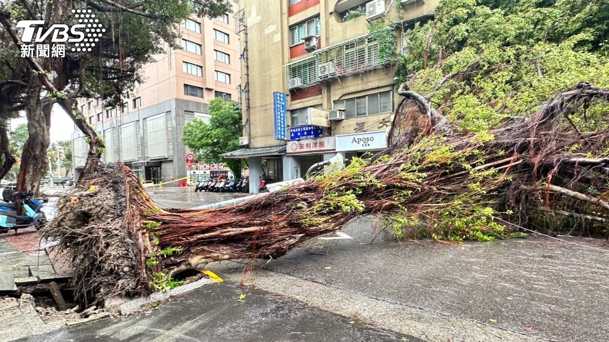 康芮肆虐！雙北路樹倒塌近3千件　災害總計破5千件釀1死