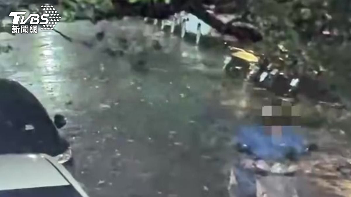 死者經過事發路段路樹突然倒塌壓倒電線桿。(圖/TVBS)