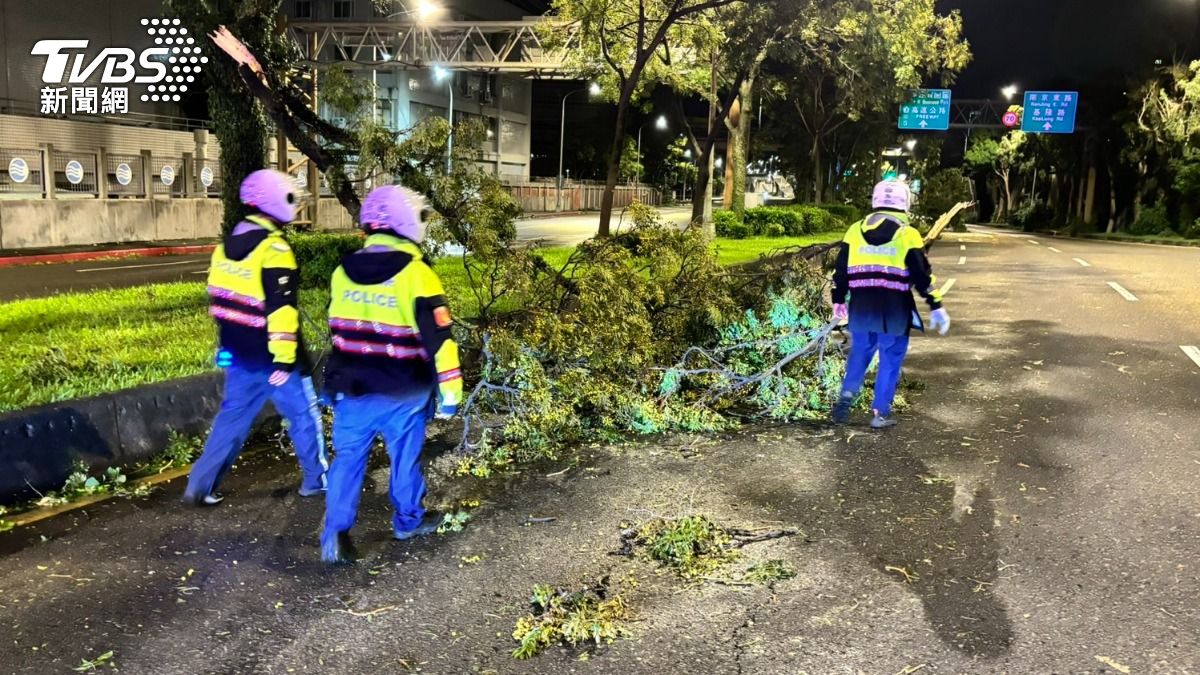 內湖警連夜搶救清除。(圖/TVBS)