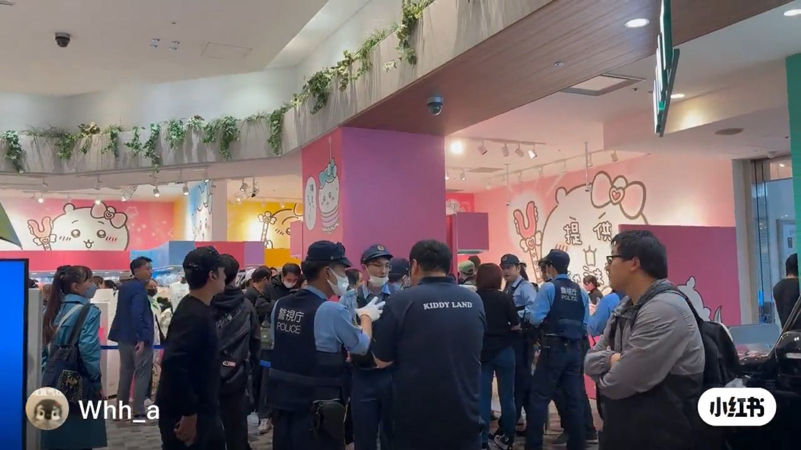 中國大媽瘋搶新宿「吉伊卡哇」!塞滿包只結帳一隻 引日警出動