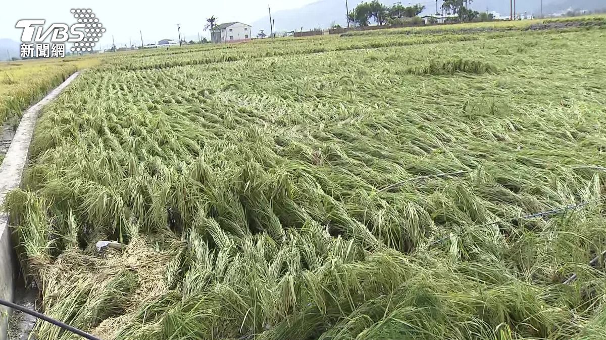康芮颱風重創!農損近7億 農業部:花東全品項現金救助