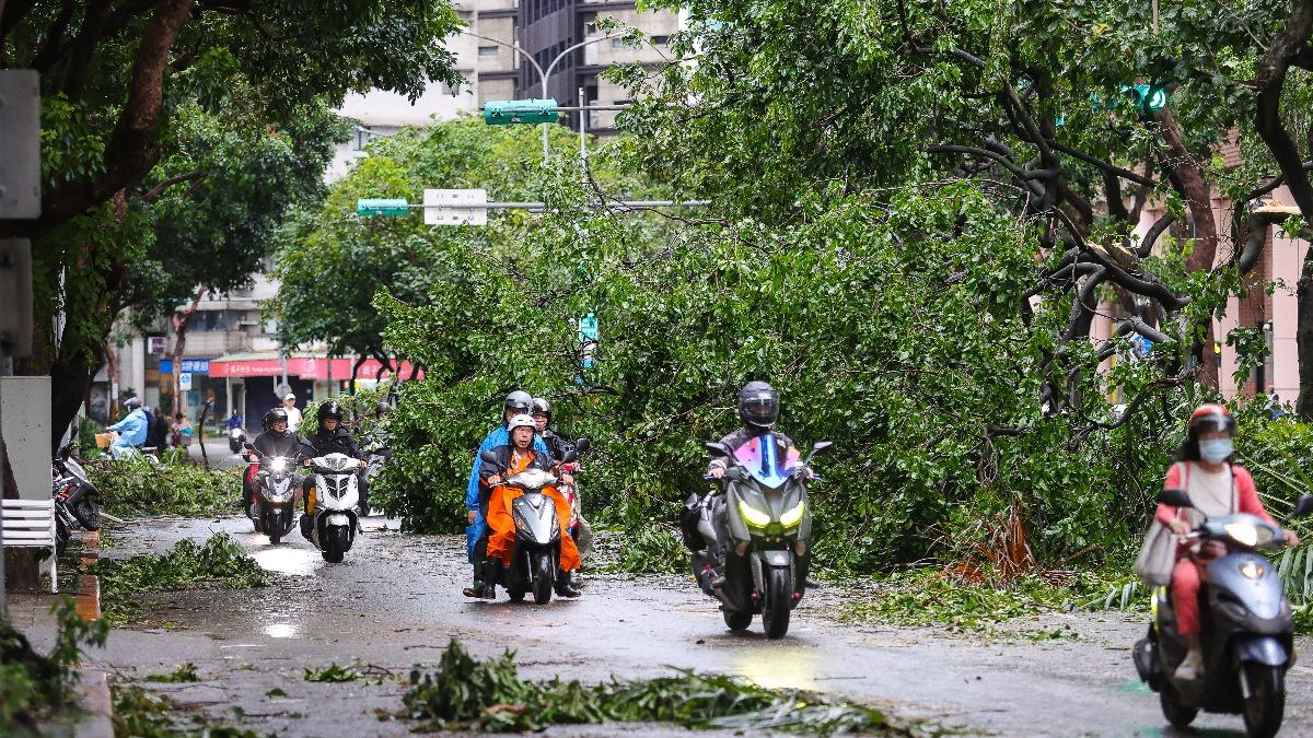 北市2800處路樹傾倒!救災人員曝「24小時沒回家」:3日前清完
