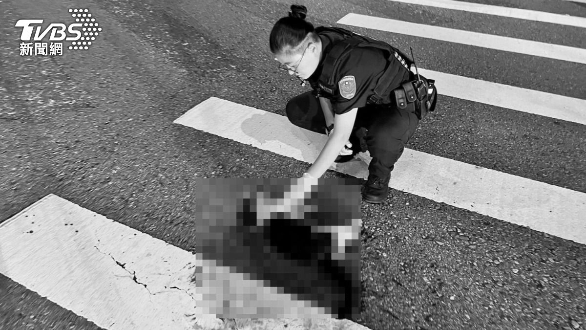 台中喵星人深夜橫死街頭!「血染斑馬線」後車險輾 暖警出手了