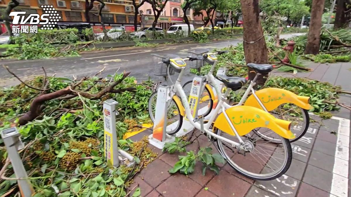 康芮強風吹倒雙北不少路樹。(圖/TVBS資料畫面)