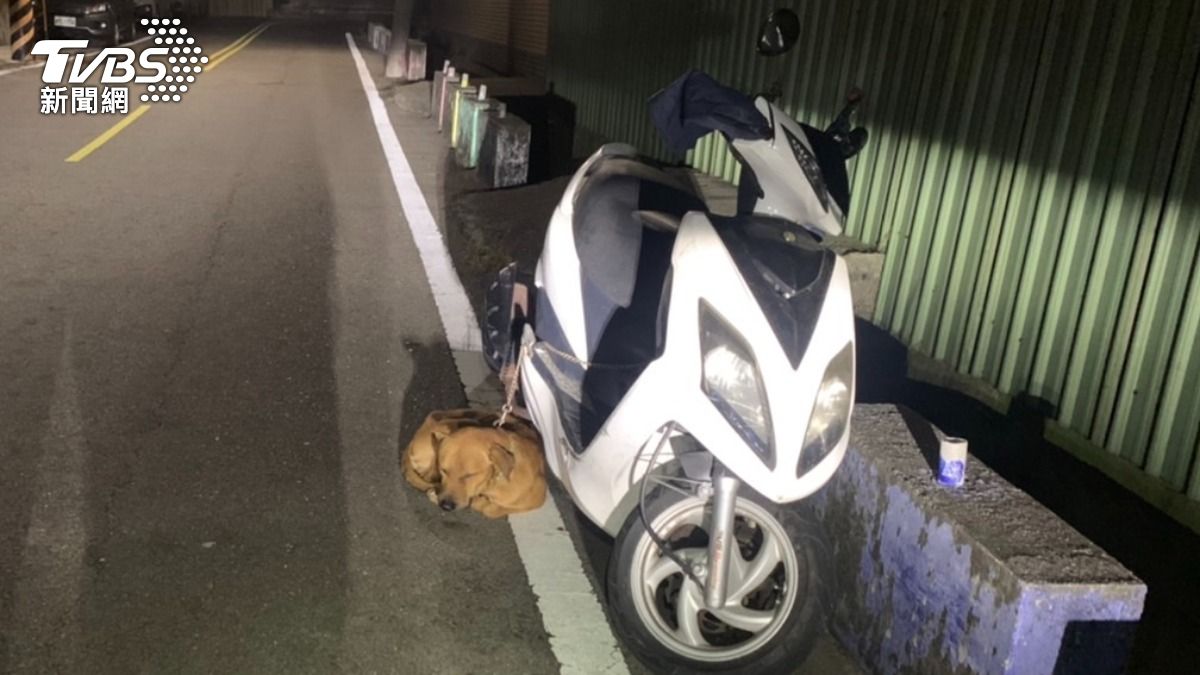 忙防康芮忘愛犬?小黃狗被栓機車等主人 蜷曲角落惹心疼