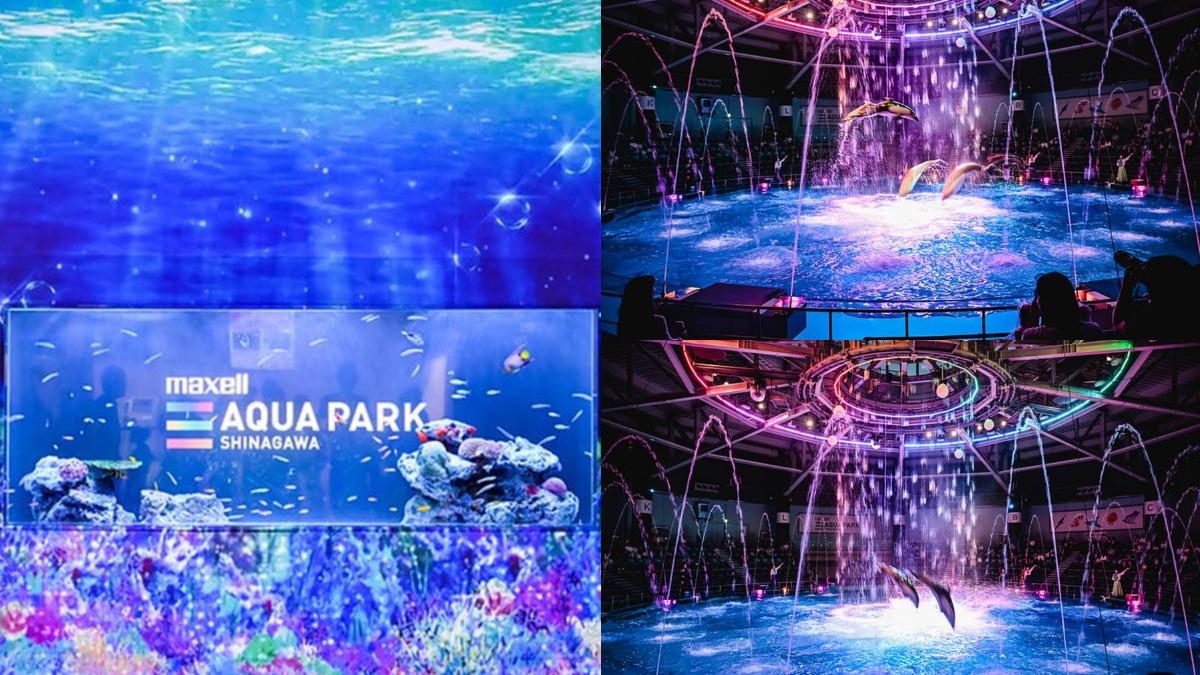 東京親子旅遊必去!最炫水族館兼室內遊樂場 還有超萌動物表演秀