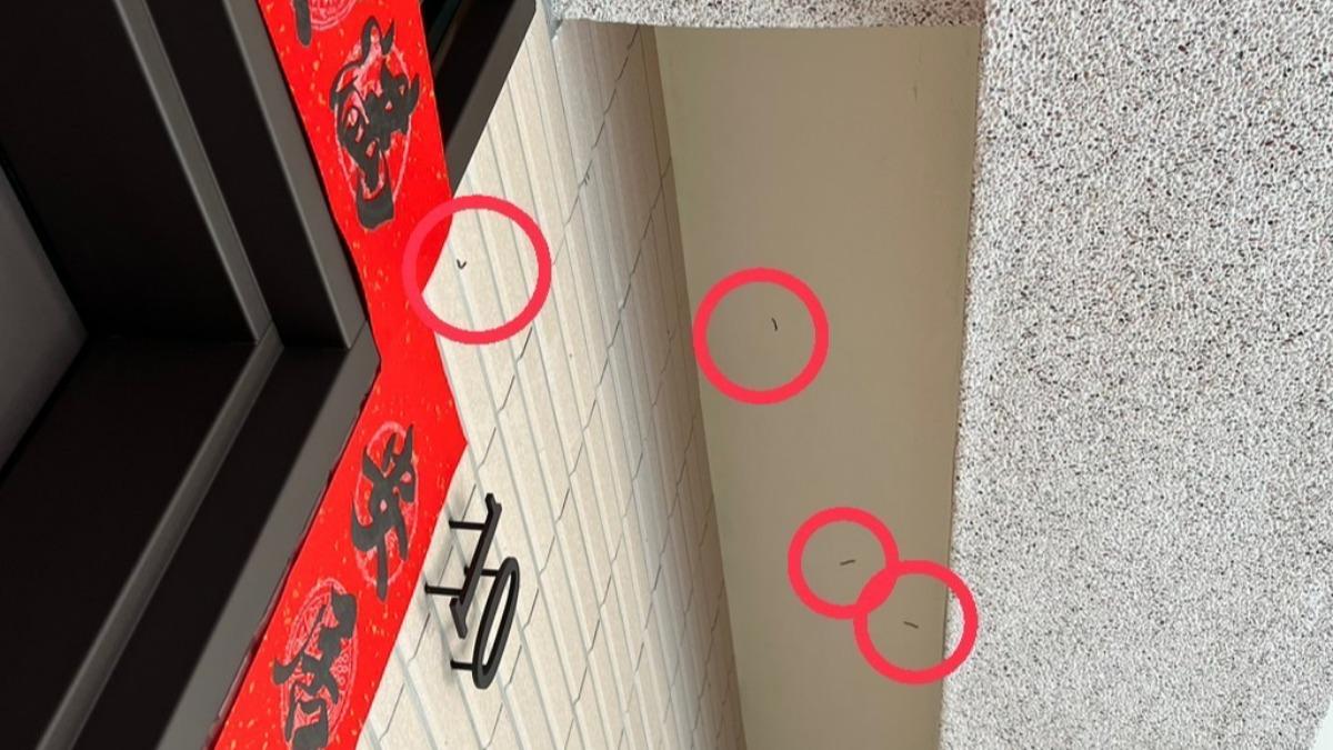 芬園鄉這裡近期被馬陸大軍侵占。(圖/民眾提供)
