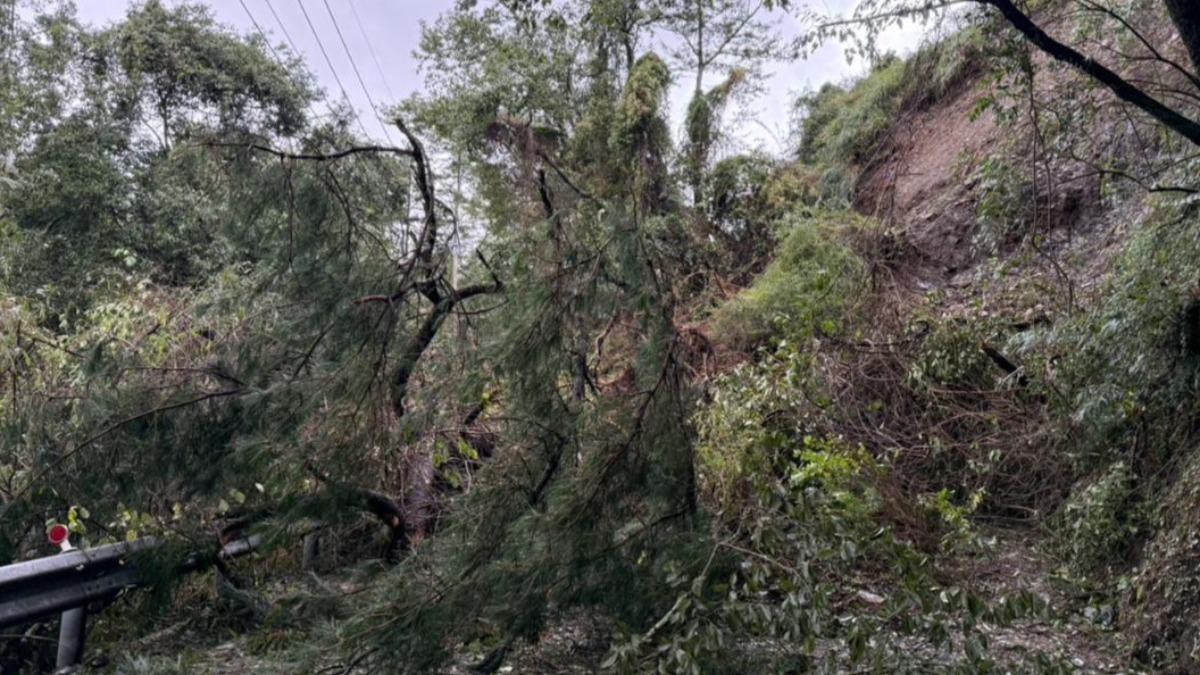 梨山災情慘重!蜜蘋果、甜柿、水梨掉滿地 1500多戶仍停電