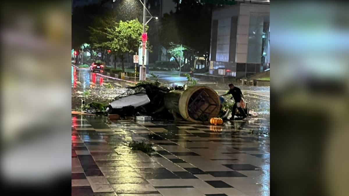 南港CITYLINK大樹爺爺倒了 傳員工同時吹飛「後腦著地」沒人理