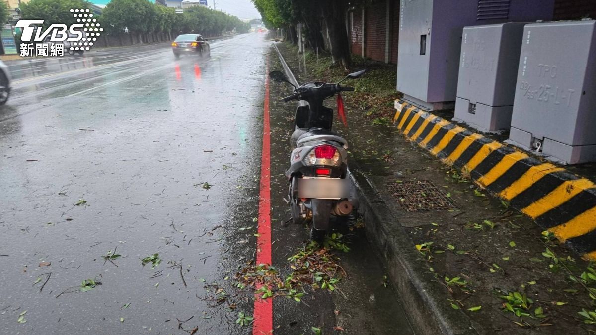 颱風上班路遇劫!台中男疑遭樹壓死 家屬淚求關鍵影像尋真相