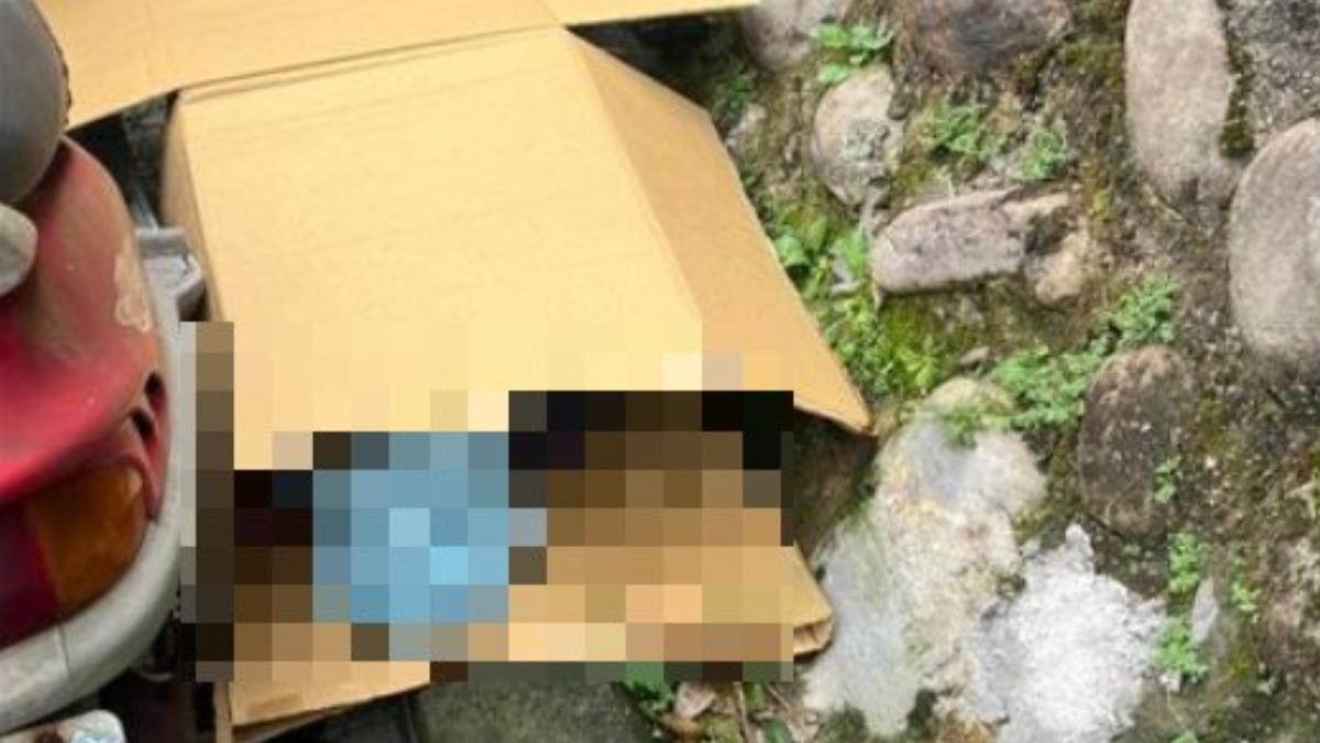 桃園嬤「被紙箱蓋住」躺路邊!口鼻纏膠帶 路人嚇壞報警搶命