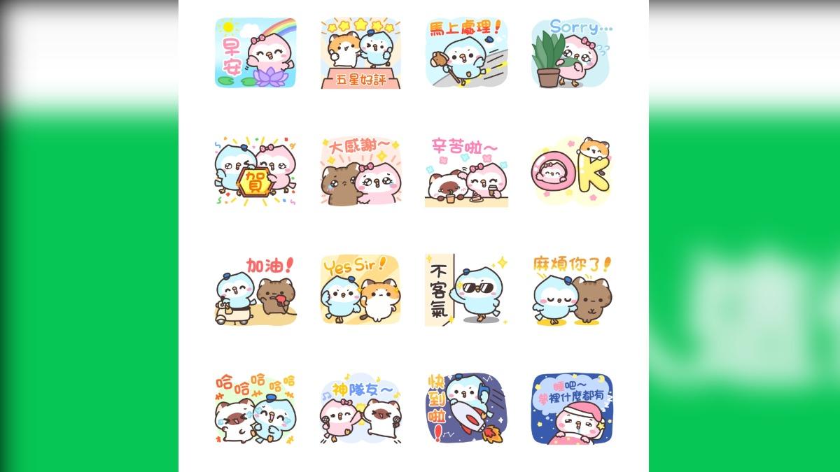 波鴿家族×嘎嘎貓。(圖/翻攝自LINE)