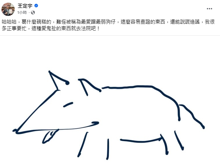 王定宇發文反擊。（圖／翻攝自王定宇臉書）