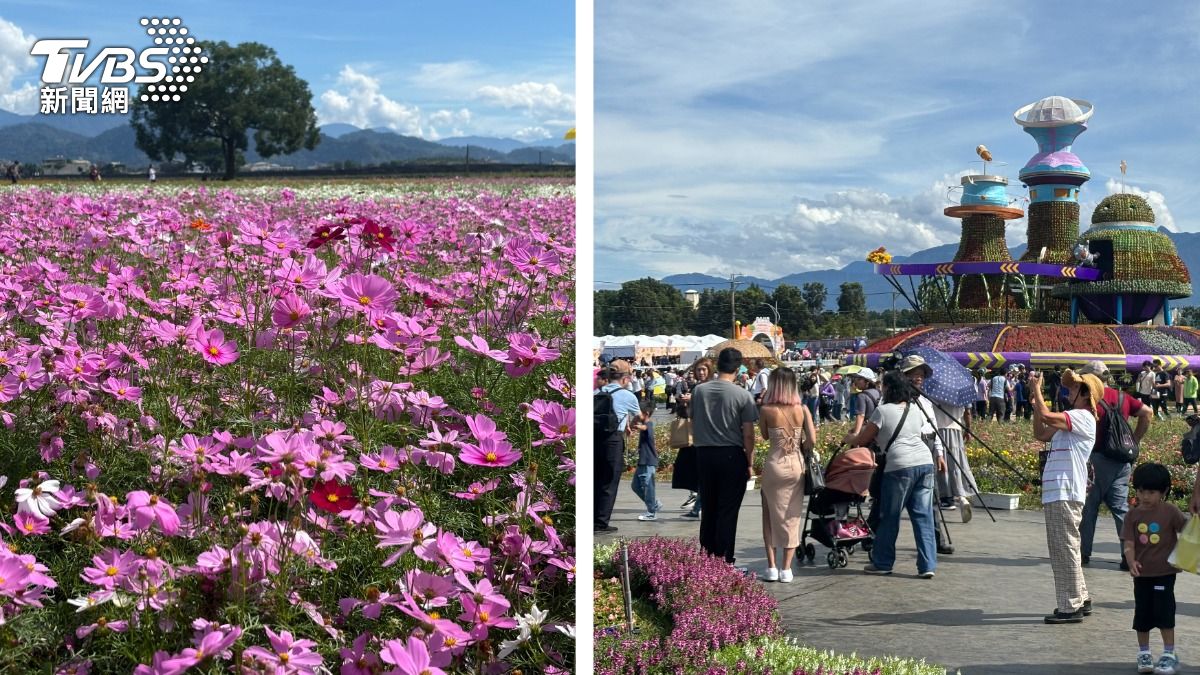新社花海開幕首日人海曝!中午3千車位全滿 賞花人潮擠爆