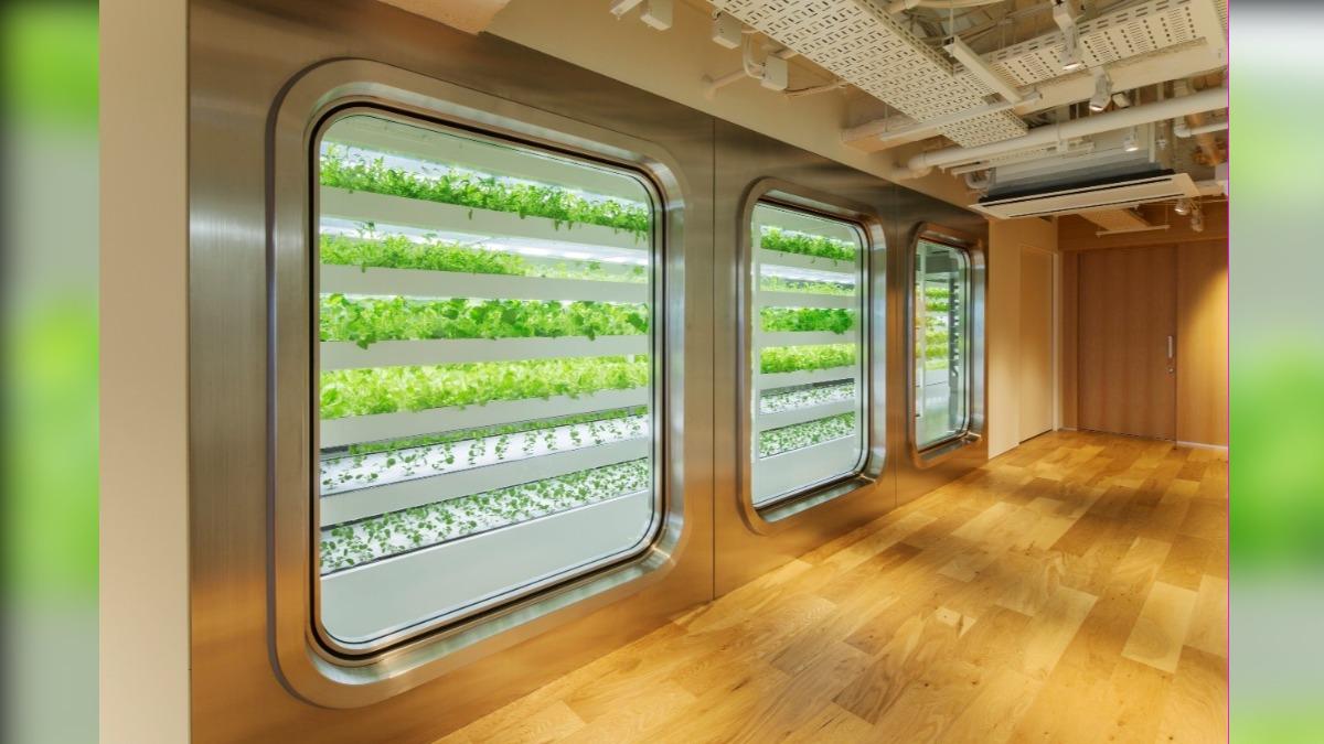 水耕栽培的蔬菜工廠FARM。( 圖 / © 銀座 伊東屋)