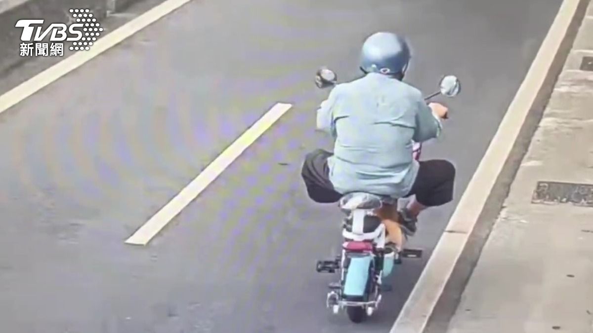 北投翁騎車遭追撞!愛犬嚇跑 他只想找狗不願就醫