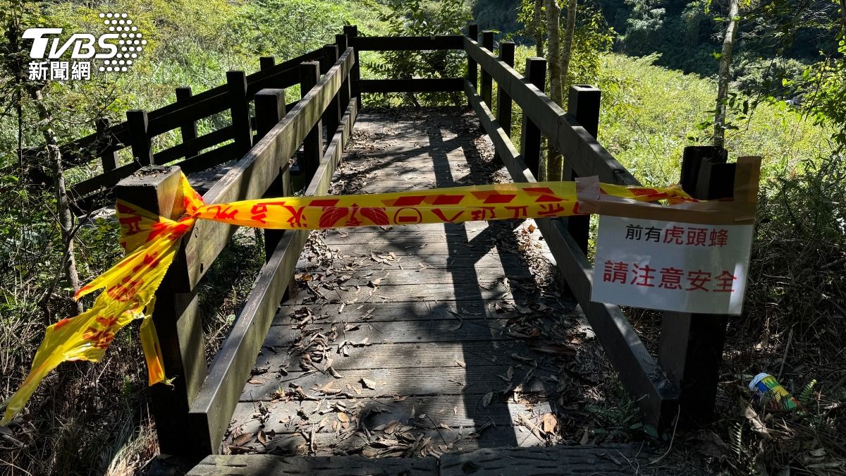 快訊/泰安溫泉水雲瀑布虎頭蜂攻擊 2男2女受傷送醫