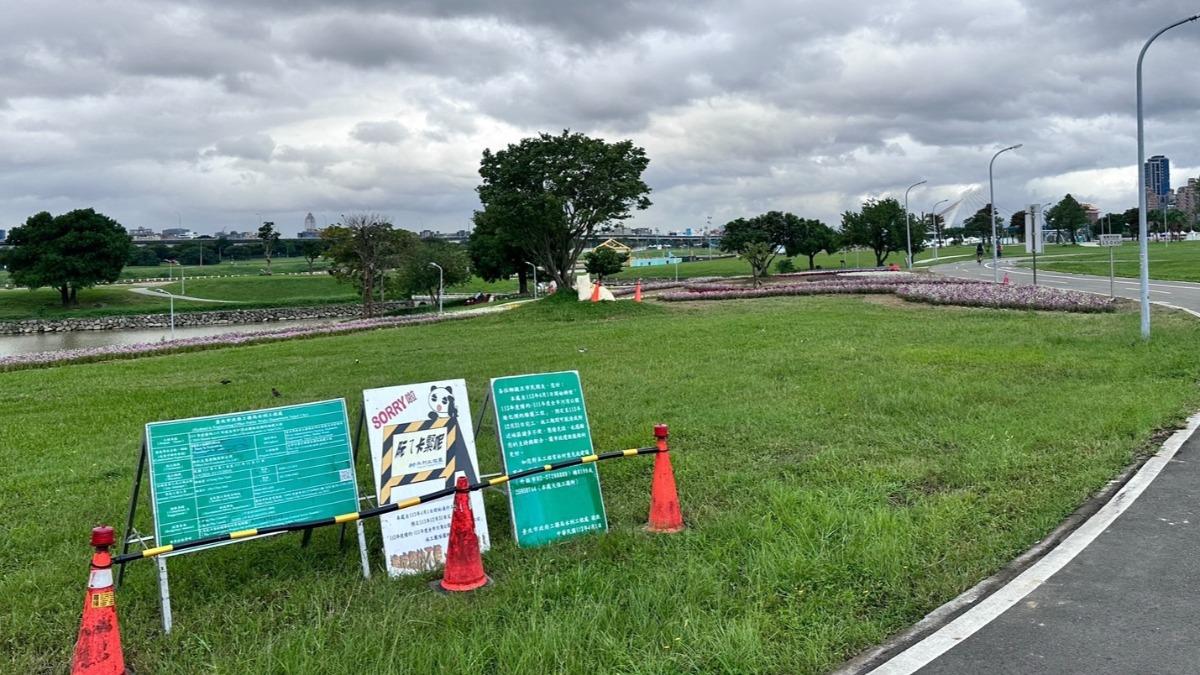 國民黨市議員王欣儀指出,接獲許多民眾反映「大直美堤河濱公園花海」不如預期。(圖/王欣儀辦公室)