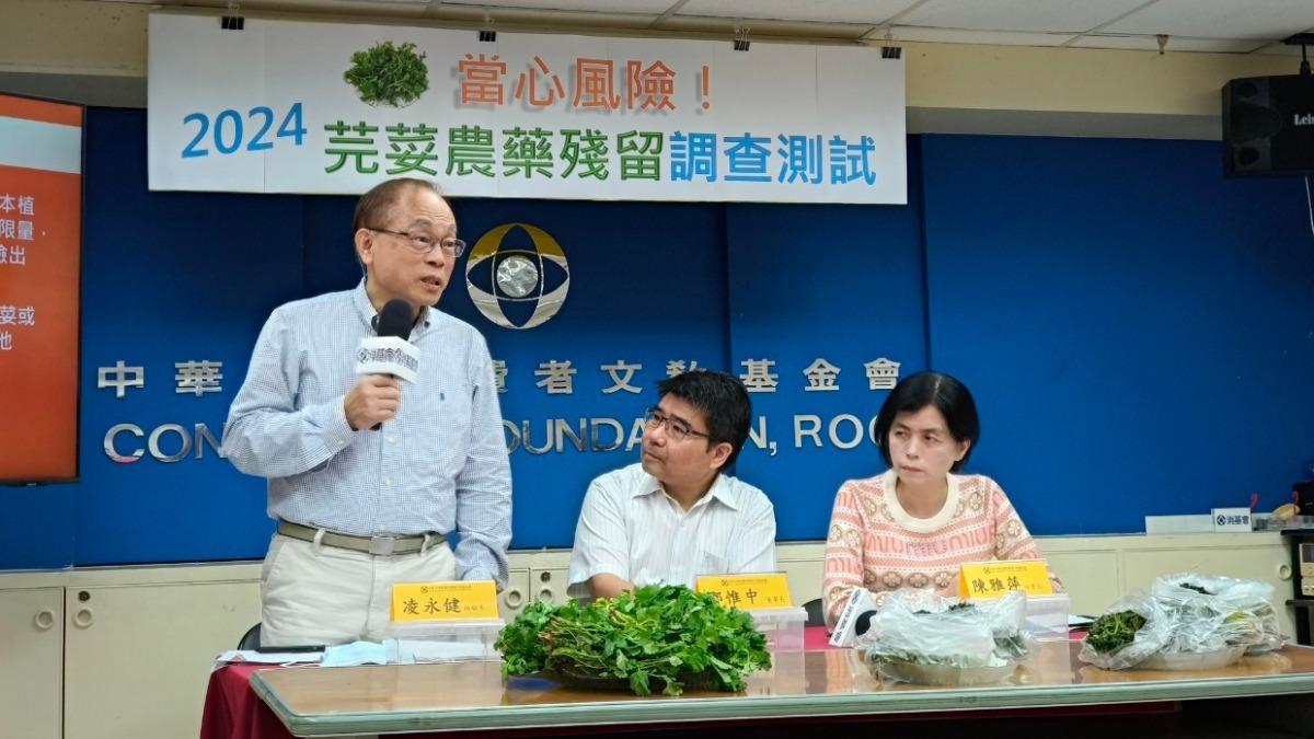 消基會檢驗長凌永健。(圖/TVBS)
