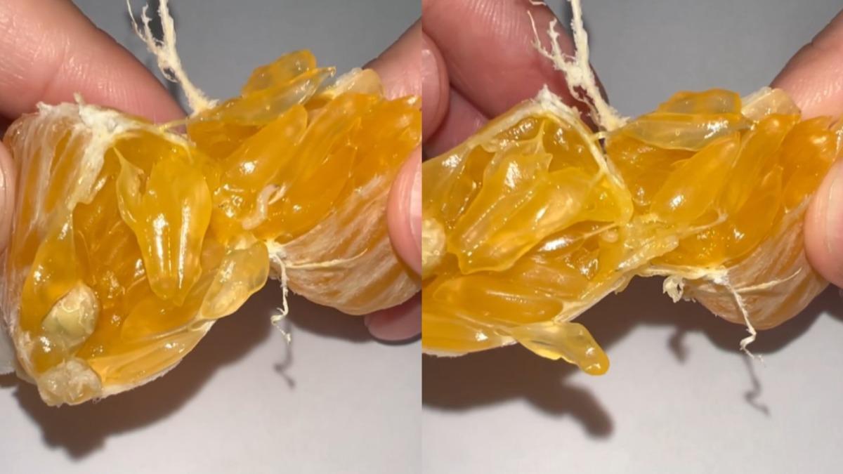 剝開橘子才發現!「超肥白蟲」果肉亂竄 網嚇傻:我吃了幾隻...