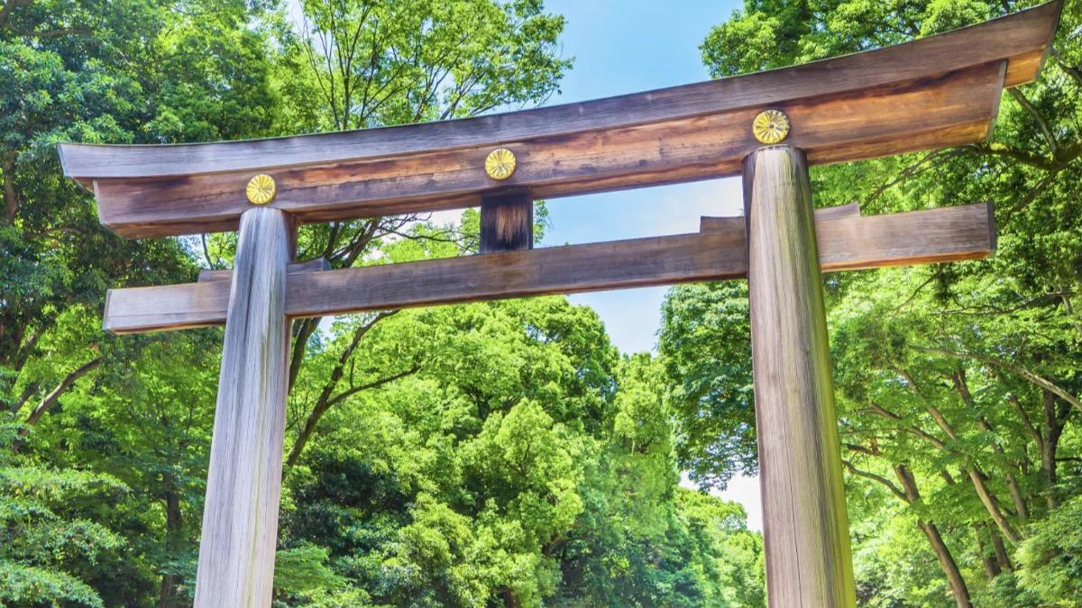 日本明治神宮「鳥居上刻名字」 美籍遊客遭逮!辯稱只是惡作劇