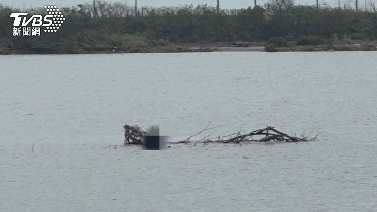 絕地求生!嘉義男「溪水暴漲」困沙洲 緊抓漂流木1hr獲救