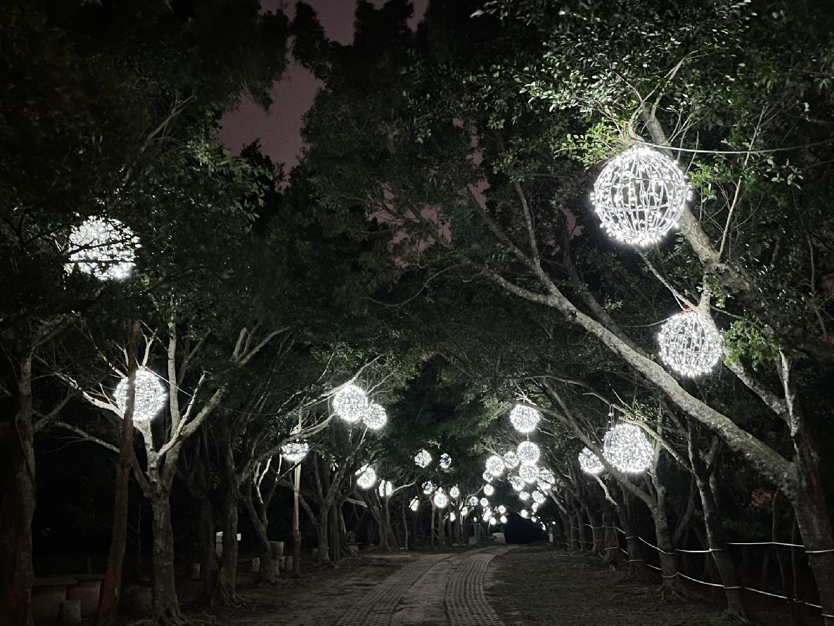 相思步道夜間點燈相當浪漫。(圖/森渼原提供)