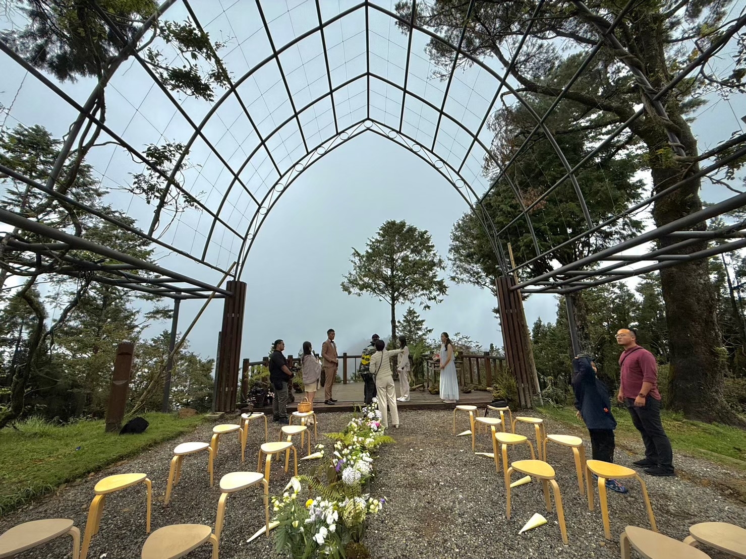阿里山5場域開放租借　可辦療癒森林系婚禮