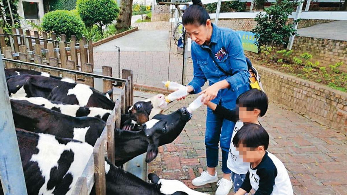 【陳明真暴瘦神隱3】為懷孕花5年做試管　「陳明真高齡產雙胞胎」親力親為照顧
