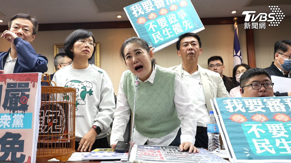 立法院內委會審查「公職人員選舉罷免法」,藍綠爆發衝突(圖/潘建樺攝)