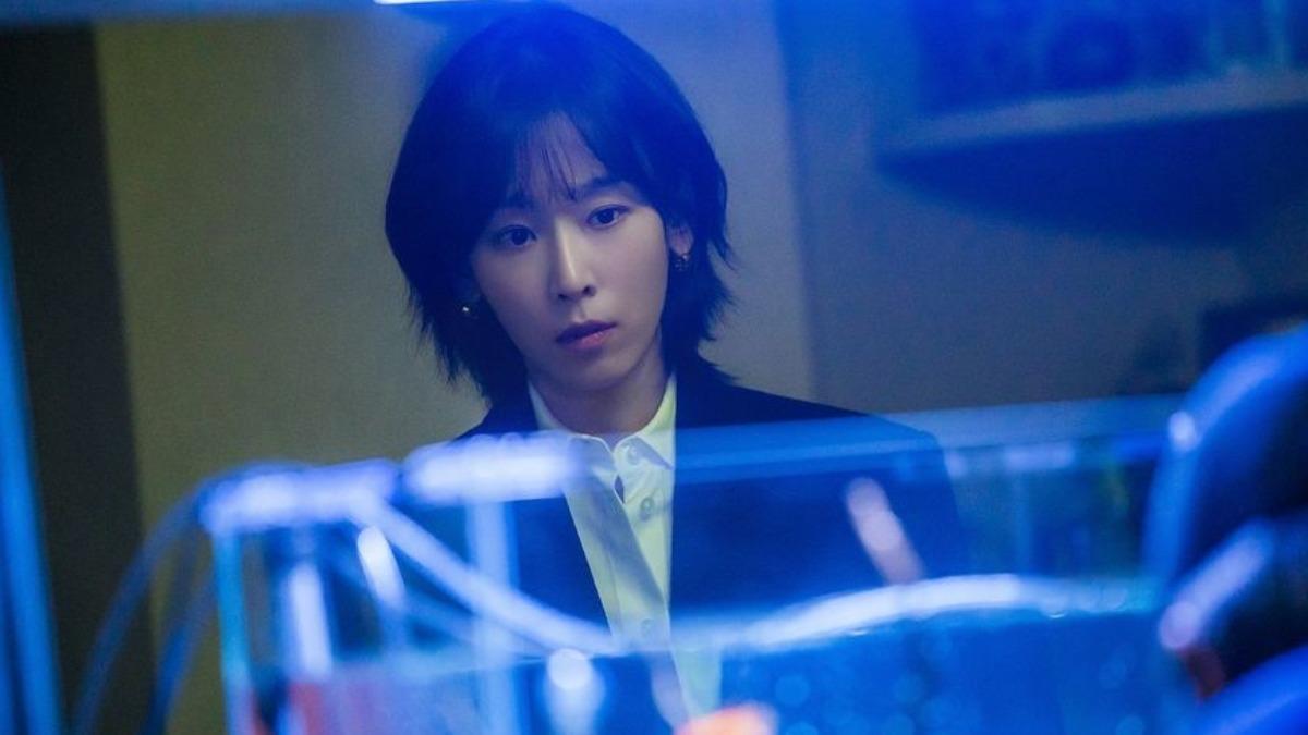 一箱情緣演員陣容-一箱情緣小說-trunk韓劇何時上映