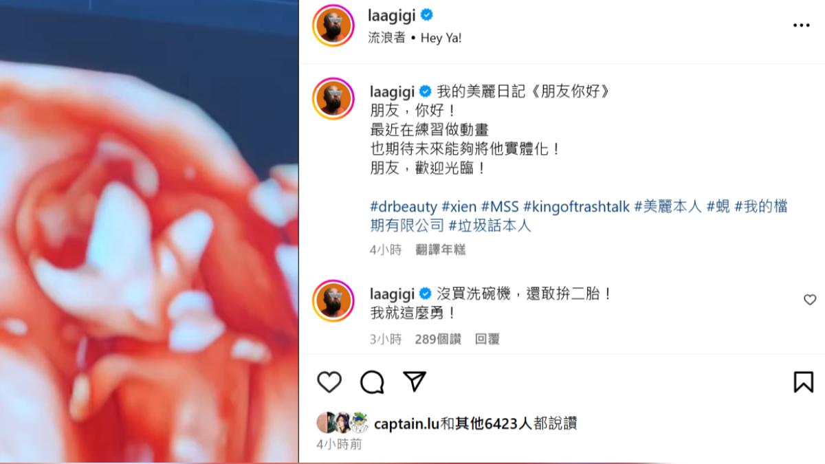 美麗本人宣布第二胎做人成功。（圖／翻攝自laagigi IG）