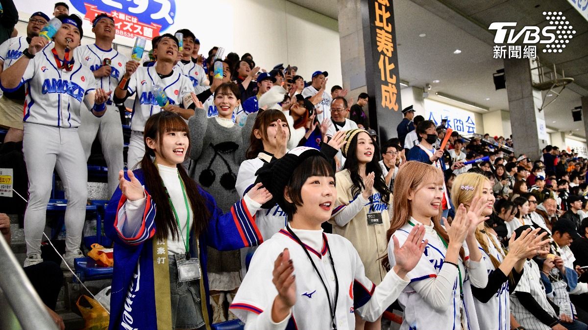 12強/爭冠前哨戰!林立應援好洗腦 日本球迷忍不住跟著嗨