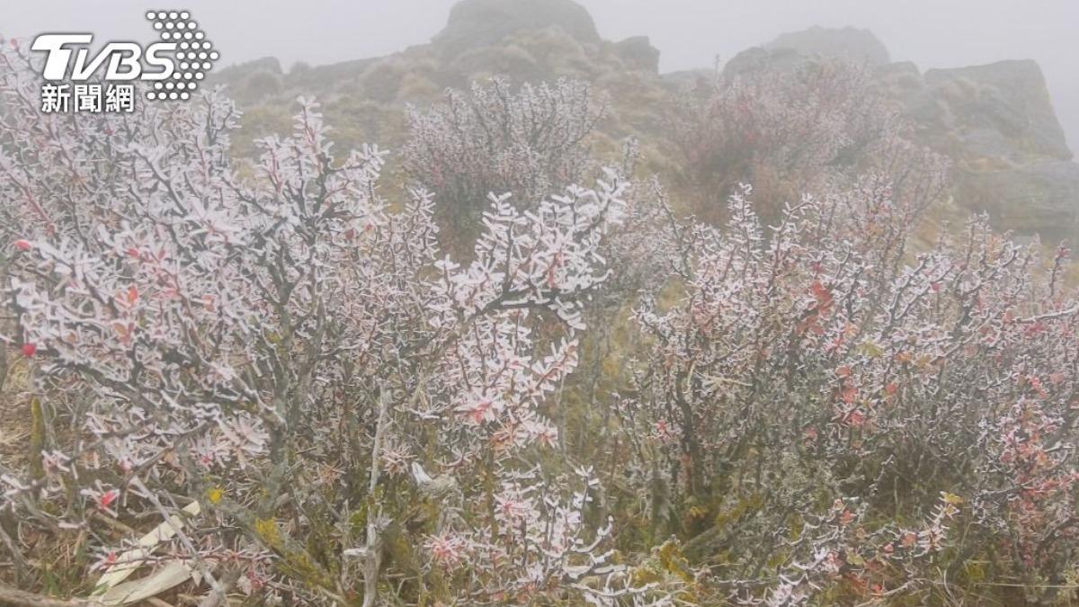 明大雪坐等好運來!4星座「越冷越旺」 單身者桃花跟著開
