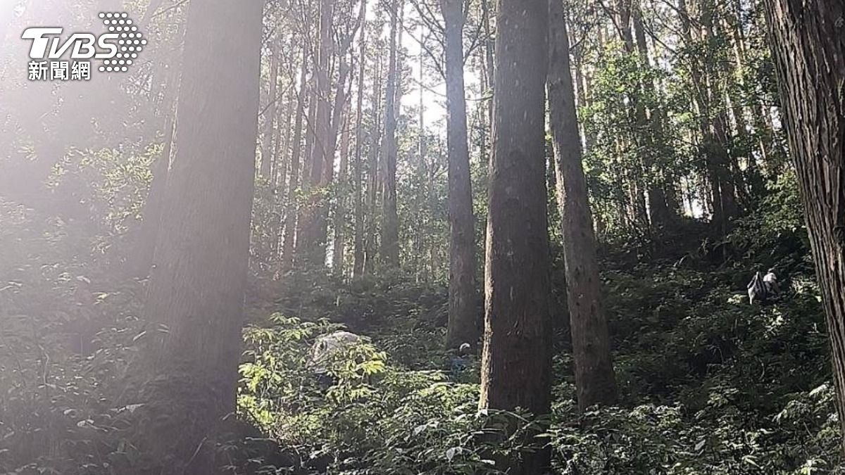 疑不慎走火擊發！3人帶獵槍上山　巡山員「頭部中彈」亡