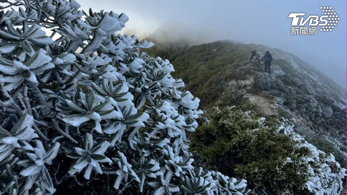 首波冷氣團來了!雪霸山區結冰霜銀白世界 絕美畫面曝