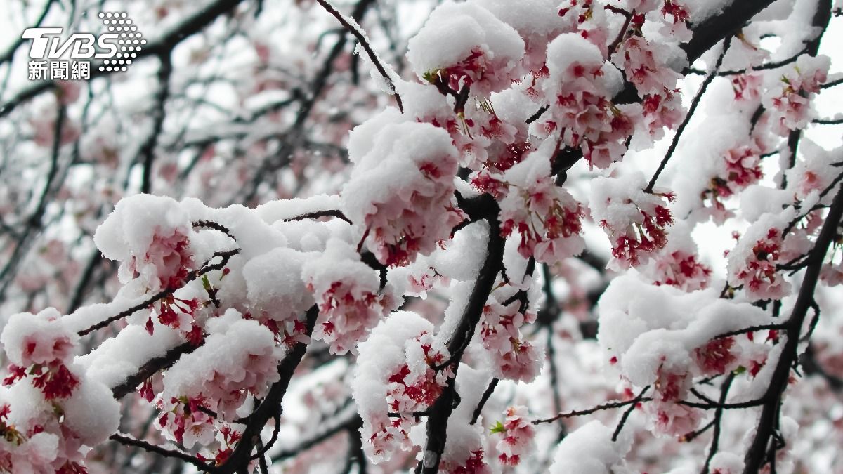 再撐1週!4生肖「大雪」一過秒轉運 事業翻身遇見對的人