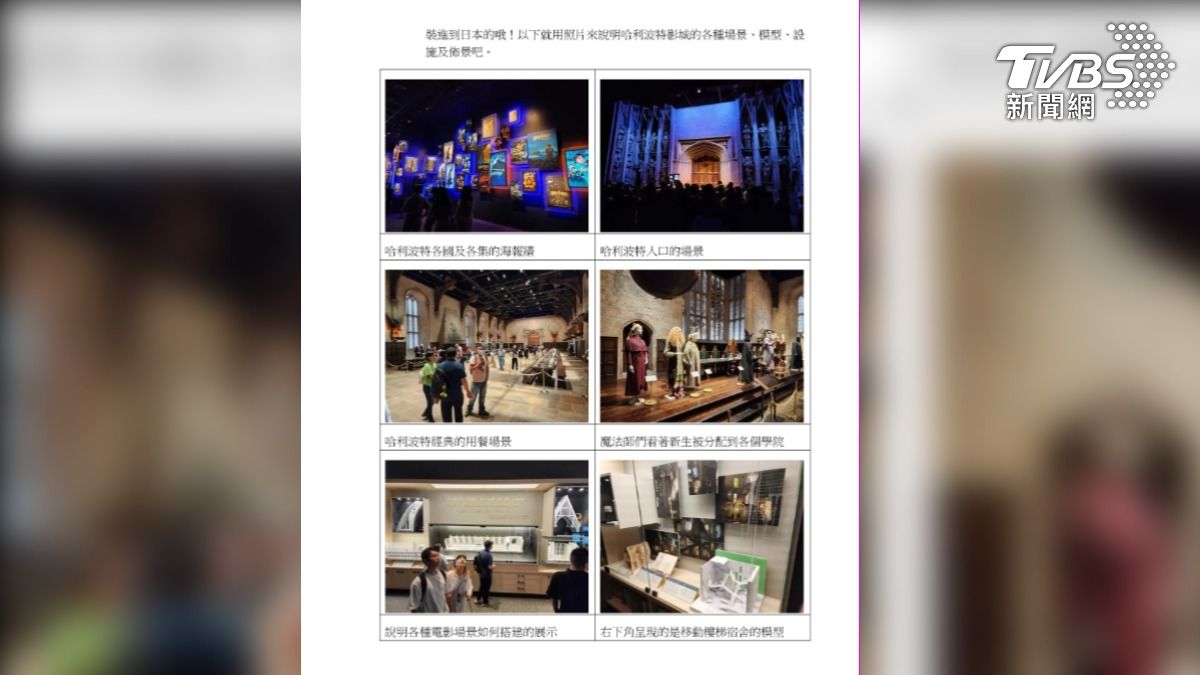 陳菁徽爆料陳素芬不止非法進用小姑，還讓小姑受特權連年公務出國遊玩。（圖／陳菁徽辦公室提供）
