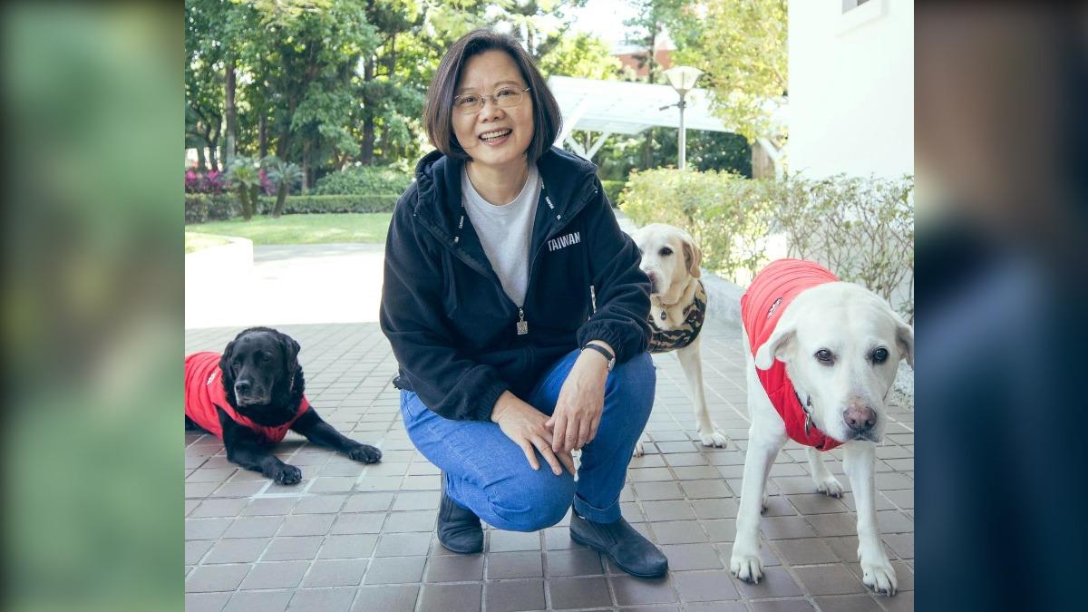 林智堅爆棄養市犬 蔡英文愛犬離世稱「愛是無私照顧」成對比